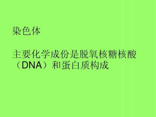 染色体碱性染料有哪些 染色体的碱性染料是什么-图2