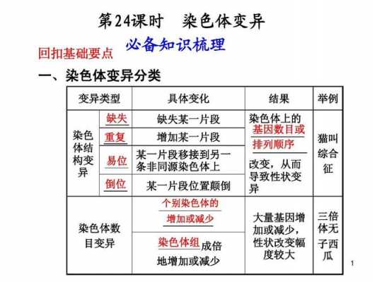 有无染料对细胞染色体的影响-有无染料对细胞染色-图2