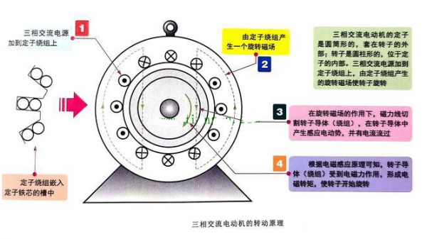 双馈异步发电机磁极对数-图2