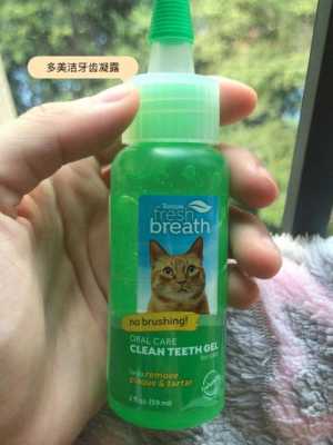 猫咪指甲红血丝 猫指甲红血丝修复推荐药-图3