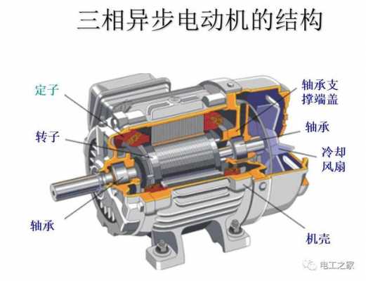 三相异步发电机转子图_三相异步电动机转子工作原理-图2