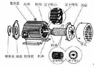 三相异步发电机转子图_三相异步电动机转子工作原理-图3