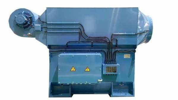  鼠笼式异步发电机6「鼠笼式异步发电机在下列哪种机型中应用较多」-图1