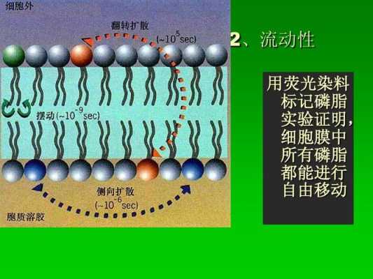  DIR染料的染色原理「did染料原理」-图3