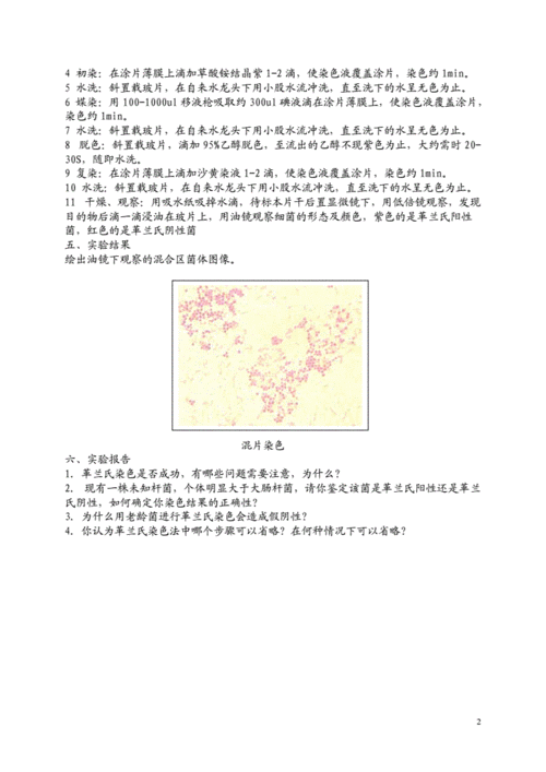 细菌的单染色法实验原理-细菌的单染色染料-图2