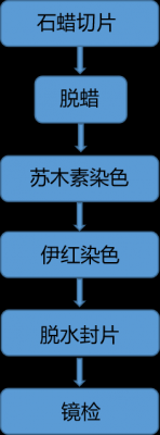 强酸性染料染色原理-图2