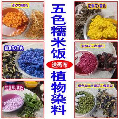 给花染色的染料有哪些名称,染色花用什么染料 -图2