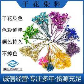 给花染色的染料有哪些名称,染色花用什么染料 -图3