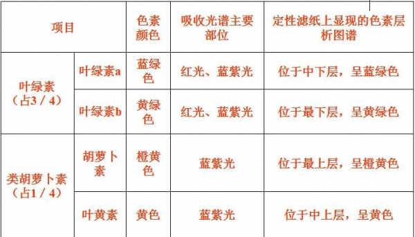 光合染色是什么颜色的染料呢-图1