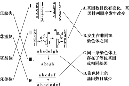 染色体结构变异g染料（染色体结构变异实例）-图3