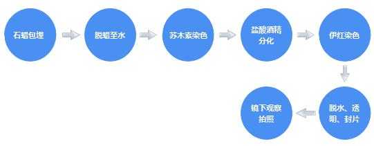 酸性染料染色的漂洗,酸性染料染色的漂洗过程 -图2