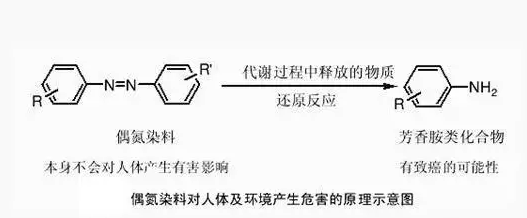 偶氮染料染色剂,偶氮染料的危害 -图2