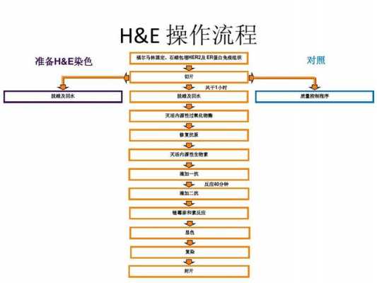 h一e染色名词解释 H.E染色是指哪两种染料染色-图1