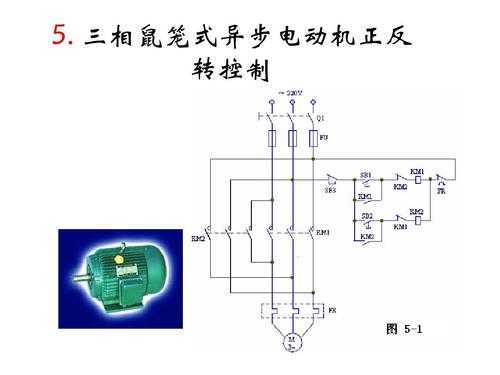 三相鼠笼异步电动机的工作原理-三相异步鼠笼发电机机原理-图2