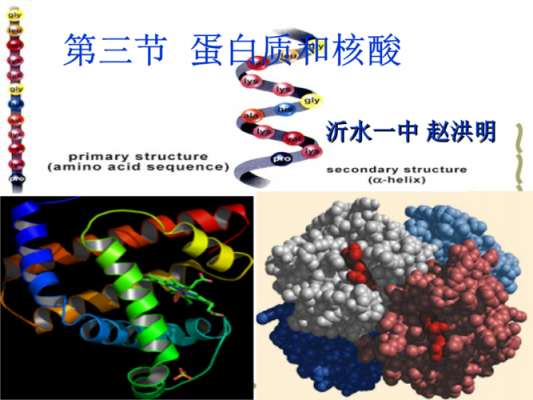 为什么蛋白有核酸污染-图3