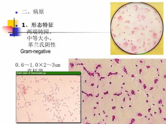  迪夫染色染料成分有哪些「迪福快速染色」-图3